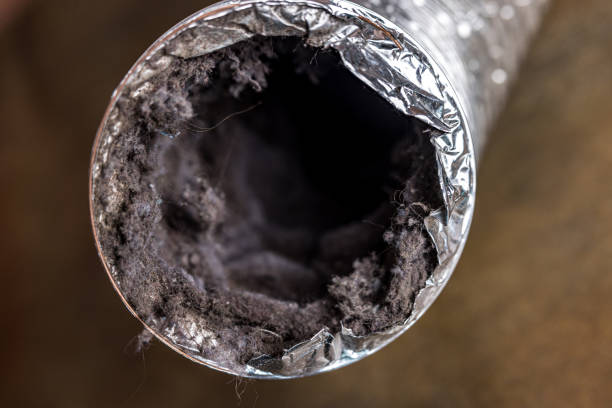 Best Air Duct Inspection  in Morehead City, NC