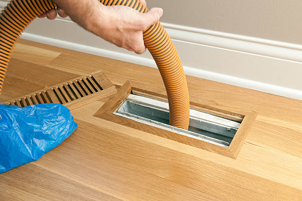 Best Home Air Vent Cleaning  in Morehead City, NC