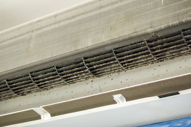 Best HVAC Air Duct Cleaning  in Morehead City, NC