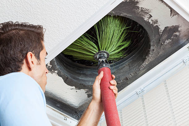 Best Affordable Duct Cleaning Services  in Morehead City, NC