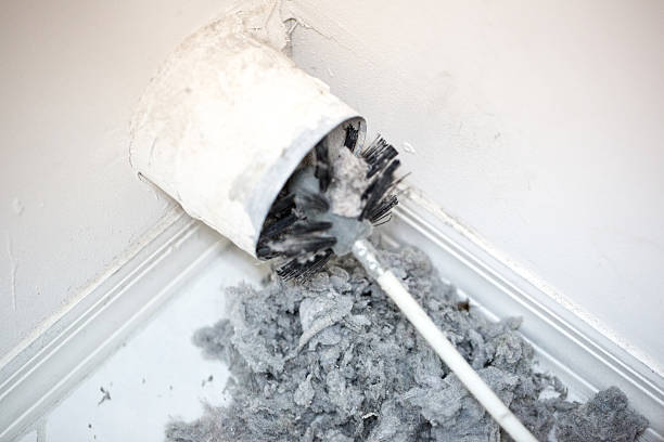 Best Ventilation Cleaning Services  in Morehead City, NC