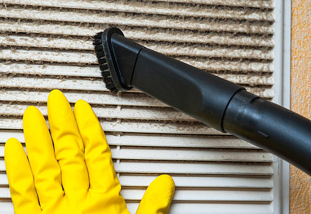 Best Dryer Vent Cleaning Services  in Morehead City, NC